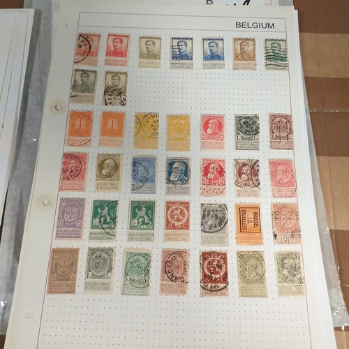 168 - Belgium substantial collection (many 100's) on 50+ pages approx, mint and used includes good selecti... 