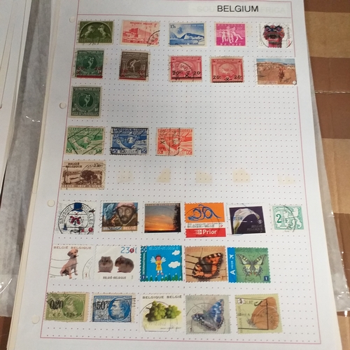 168 - Belgium substantial collection (many 100's) on 50+ pages approx, mint and used includes good selecti... 