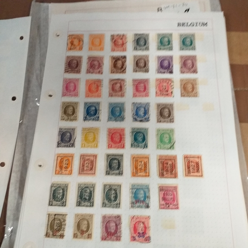 168 - Belgium substantial collection (many 100's) on 50+ pages approx, mint and used includes good selecti... 
