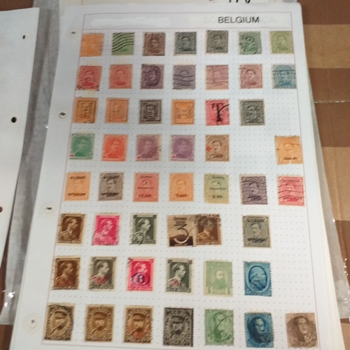 168 - Belgium substantial collection (many 100's) on 50+ pages approx, mint and used includes good selecti... 