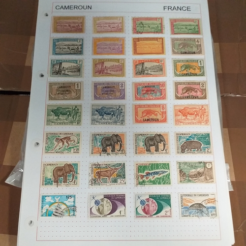203 - French colonies, substantial collection on album sheets, many 100's mint and used from early to rece... 