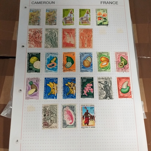 203 - French colonies, substantial collection on album sheets, many 100's mint and used from early to rece... 