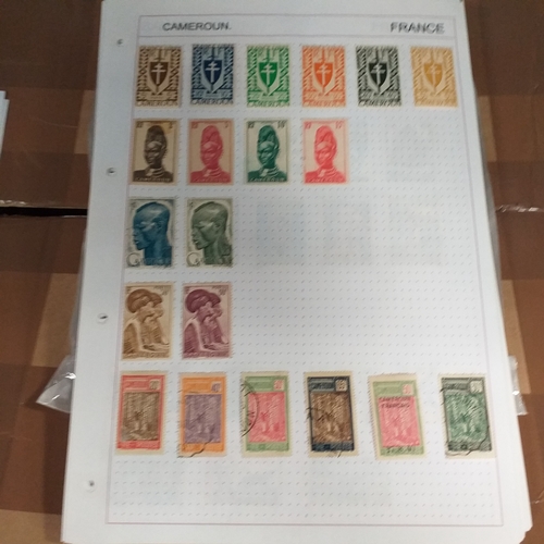 203 - French colonies, substantial collection on album sheets, many 100's mint and used from early to rece... 