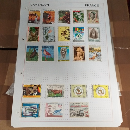 203 - French colonies, substantial collection on album sheets, many 100's mint and used from early to rece... 