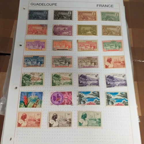 203 - French colonies, substantial collection on album sheets, many 100's mint and used from early to rece... 