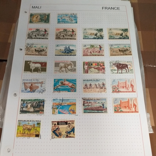 203 - French colonies, substantial collection on album sheets, many 100's mint and used from early to rece... 