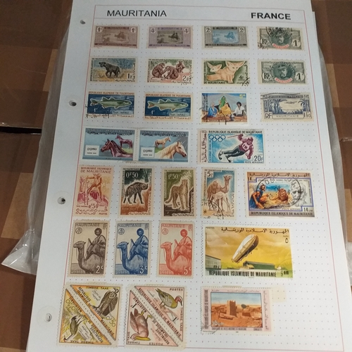 203 - French colonies, substantial collection on album sheets, many 100's mint and used from early to rece... 