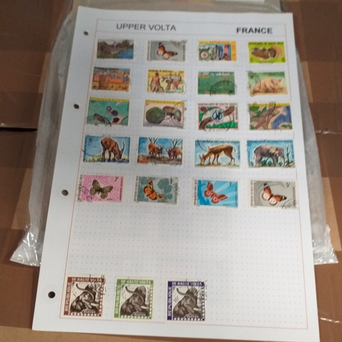 203 - French colonies, substantial collection on album sheets, many 100's mint and used from early to rece... 