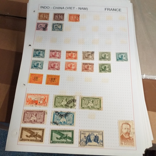 203 - French colonies, substantial collection on album sheets, many 100's mint and used from early to rece... 