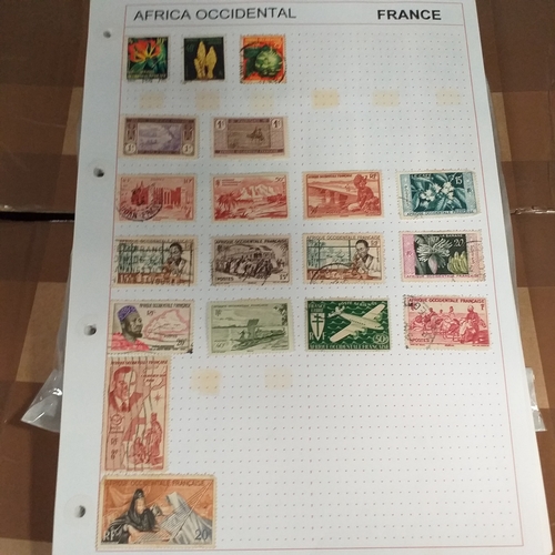 203 - French colonies, substantial collection on album sheets, many 100's mint and used from early to rece... 