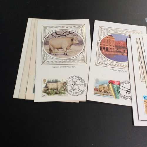 37 - Glory box with limited edition Benham Covers and around 24 envelopes containing Royalty Booklets, mi... 