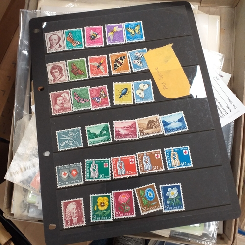 14 - Glory box - albums and stock books, box of loose stamps on/off paper, stock cards etc, empty album a... 