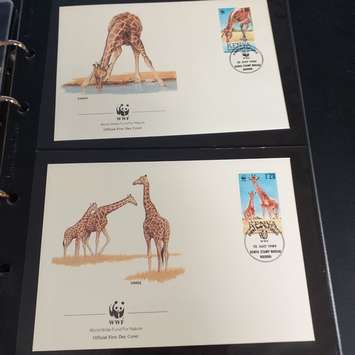 2 - Naked wines box containing 7 albums incl GB Silk Cover collection (2 albums), Disney, 1986 Royal Wed... 