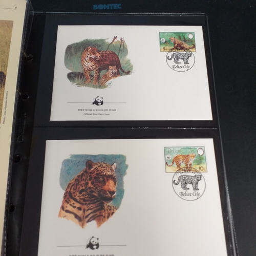 2 - Naked wines box containing 7 albums incl GB Silk Cover collection (2 albums), Disney, 1986 Royal Wed... 