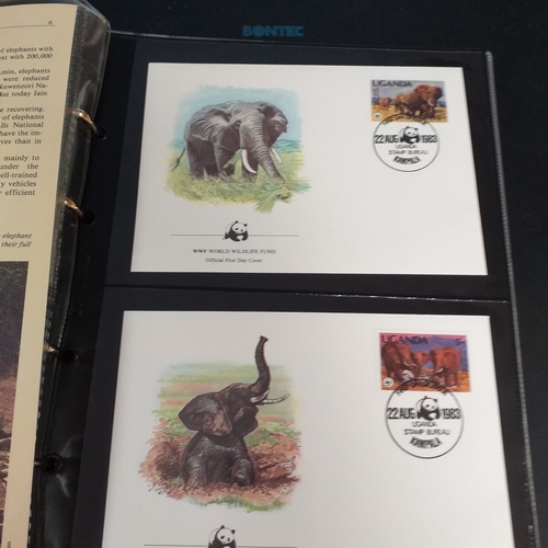 2 - Naked wines box containing 7 albums incl GB Silk Cover collection (2 albums), Disney, 1986 Royal Wed... 