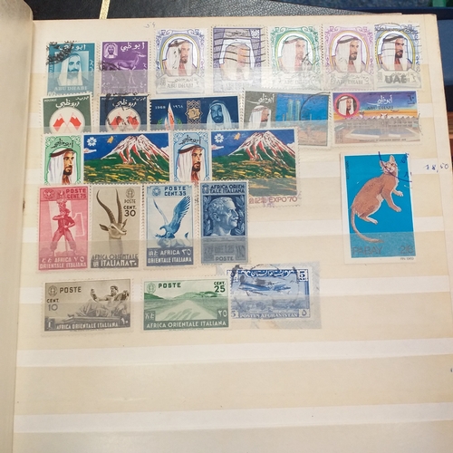 Lot 120       