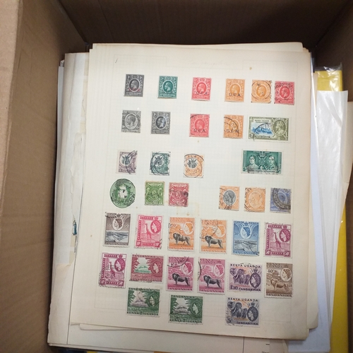 18 - Glory box - containing a variety albums and stock books - viewing required
