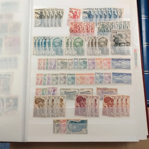 16 - Glory box - containing a variety albums and stock books - viewing required