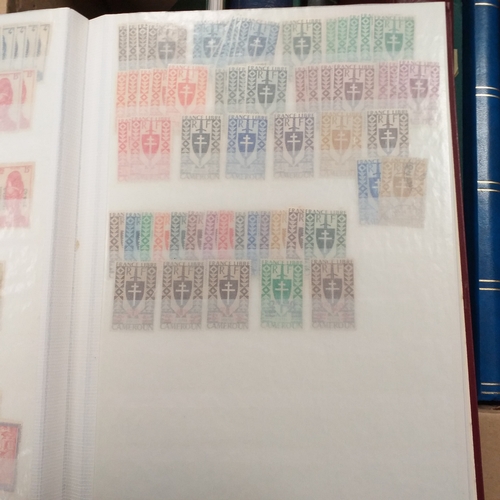 16 - Glory box - containing a variety albums and stock books - viewing required