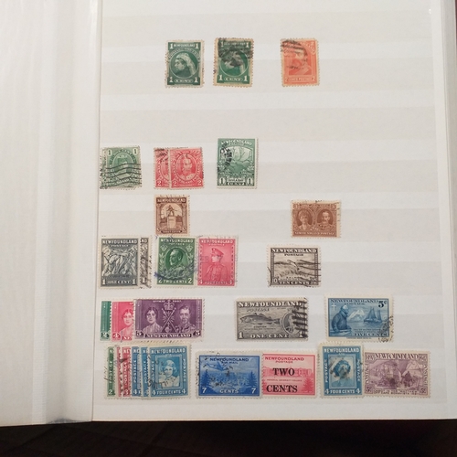 16 - Box of British Commonwealth collections in stockbooks, includes the odd 'foreign' country.  A nice s... 