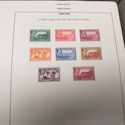 Lot 18        