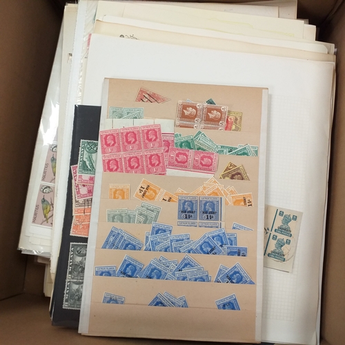 Lot 19        
