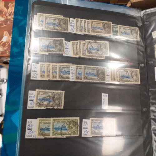 Lot 20        