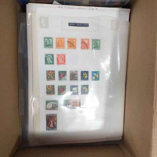 Lot 38        