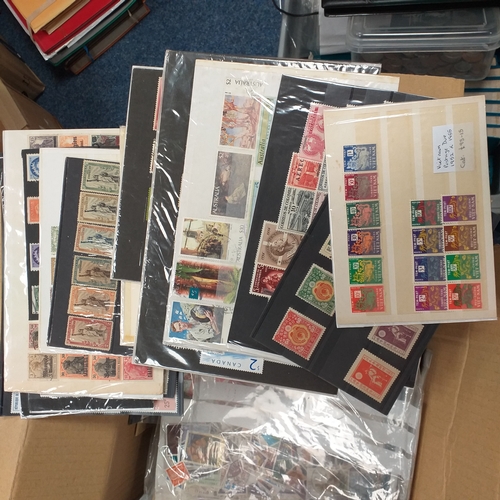 41 - Box containing stamps in packets (all off paper and sorted in to countries) on stock cards, album le... 