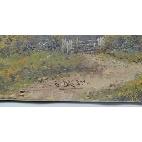 222 - E. COLE SENIOR Two studies of cottages by a river. Oils on canvas, each 31cm x 61cm, signed, unframe... 