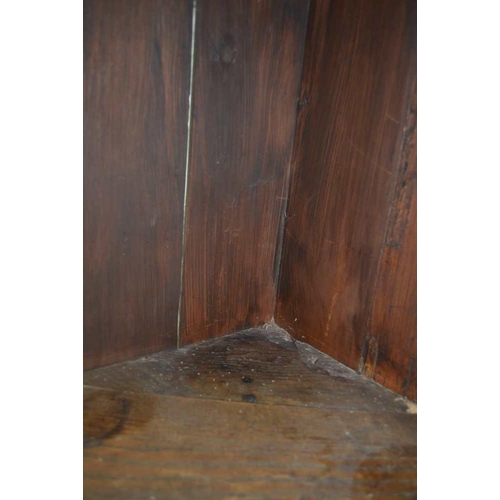 257 - A GEORGIAN DESIGN OAK SINGLE DOOR HANGING CORNER CABINET, 60cm wide, 84cm high 