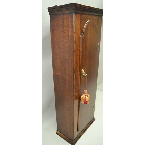 267 - AN OAK WALL CABINET fashioned from the carcase of a long case clock c.1810, 36cm x 94cm 