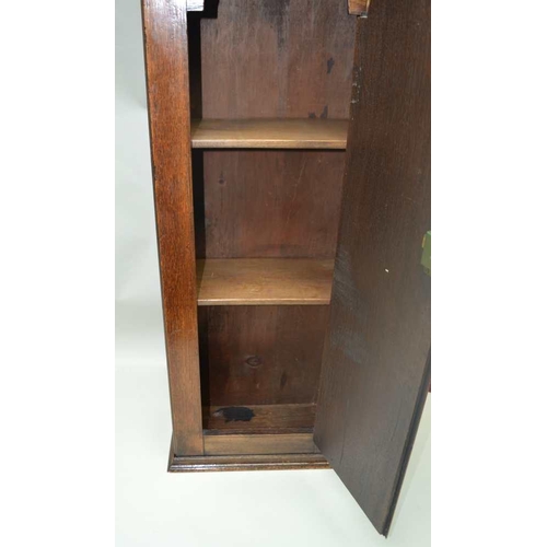 267 - AN OAK WALL CABINET fashioned from the carcase of a long case clock c.1810, 36cm x 94cm 