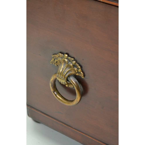 294 - AN EARLY 19TH CENTURY MAHOGANY CELLARET of tapering canted form, having hinged cover, fitted brass r... 