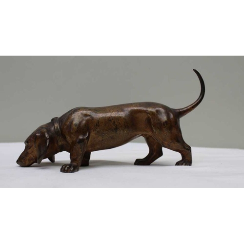 142 - A late 19th century bronzed spelter sausage dog, 20cm long