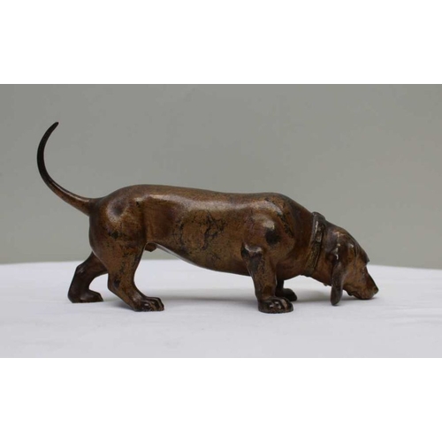 142 - A late 19th century bronzed spelter sausage dog, 20cm long