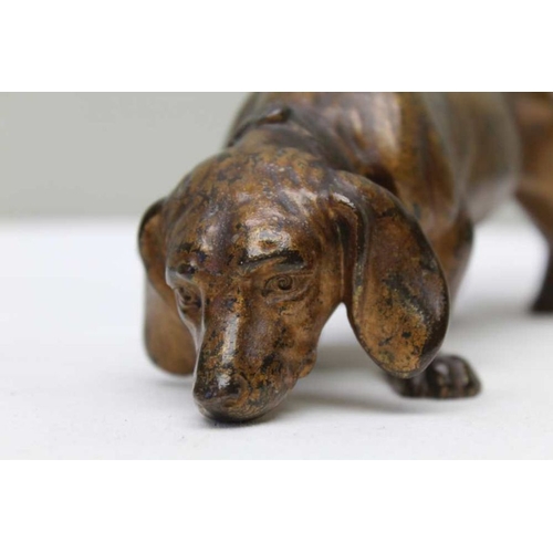 142 - A late 19th century bronzed spelter sausage dog, 20cm long