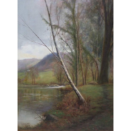 317 - George Webb (Ex.1899-1913), 'Salmon Pool', Bettws-Y-Coed 1899, oil on canvas, signed, 60cm x 45cm in... 