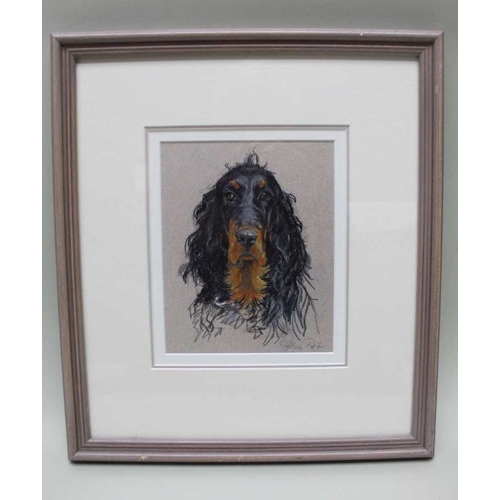 320 - W E Nims - A Resting Springer Spaniel, watercolour, signed, 19.5cm x 29.5cm, mounted in a wood & gil... 