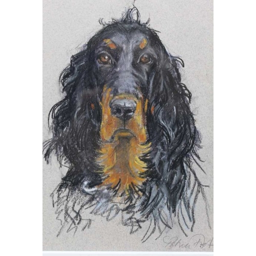 320 - W E Nims - A Resting Springer Spaniel, watercolour, signed, 19.5cm x 29.5cm, mounted in a wood & gil... 