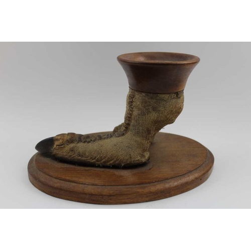 191 - A taxidermy specimen of an Ostrich foot, mounted upon an oval oak base, having turned wood mount, ov... 