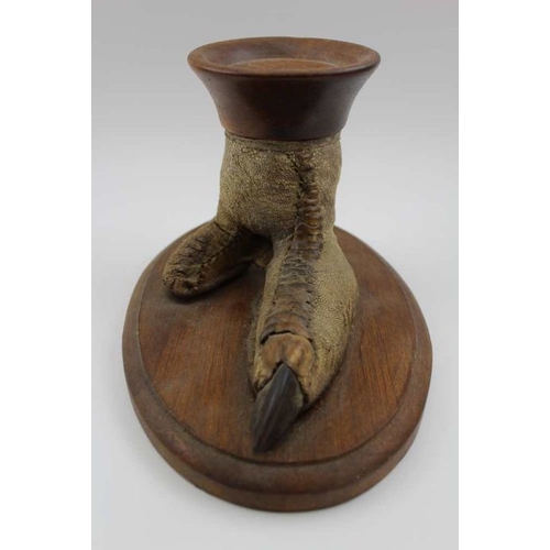 191 - A taxidermy specimen of an Ostrich foot, mounted upon an oval oak base, having turned wood mount, ov... 