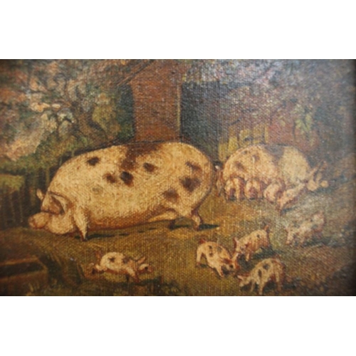 53 - An oil painting of pig and piglets, decoratively framed
