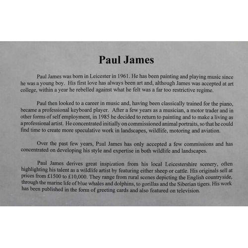 133 - Paul James (1961-) ARR may apply
 