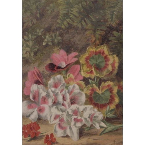 284 - T Collins, A pair of Victorian floral studies, signed and dated 1878, 29 x 24 cm, in fancy gilt fram... 