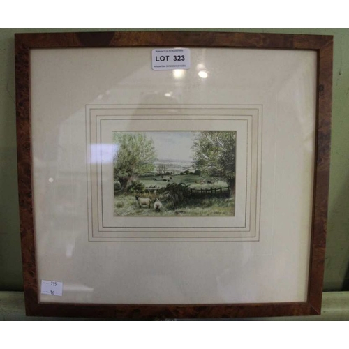 323 - F Whitford, watercolour of rural landscape, 9cm x 12cm, framed