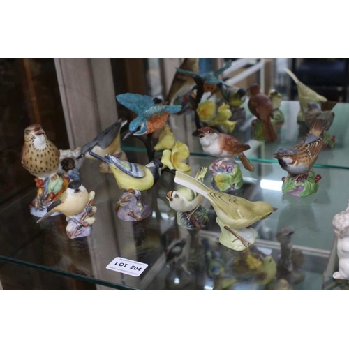 204 - A collection of Royal Worcester birds - funds going to the Turkish Earthquake appeal.