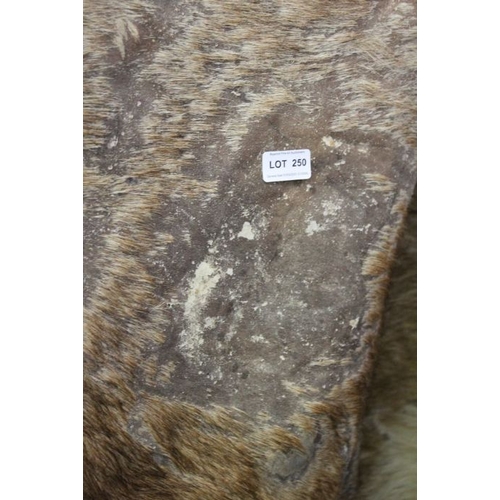 250 - A large animal skin.