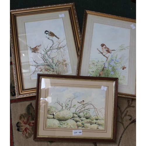 106 - James Booth - Five watercolour paintings framed, garden birds, butterflies and swans.