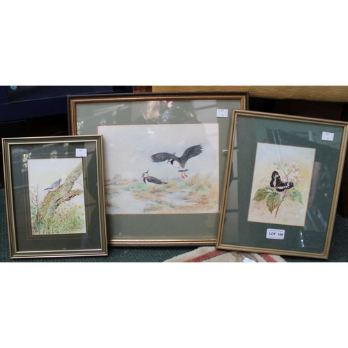 109 - James Booth - Four framed watercolours, includes butterfly on blossom.